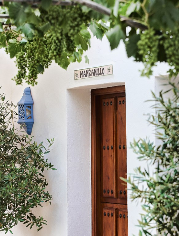 Casa Rural El Olivar - Photo 2